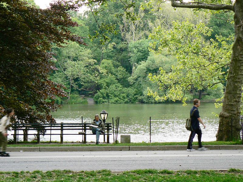 Central Park et autour: Central Park 1